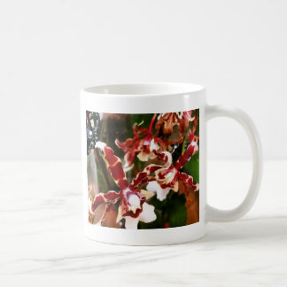 Orchid Koffiemok