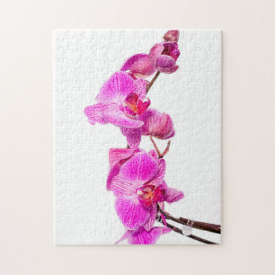Orchid Legpuzzel