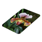 Orchid Magneet (Linkerzijde)