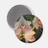 Orchid Magneet (Voorkant / Achterkant)