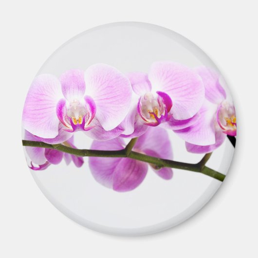 orchid magneet (Voorkant)