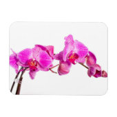 Orchid Magneet (Horizontaal)