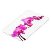 Orchid Magneet (Linkerzijde)