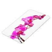 Orchid Magneet (Linkerzijde)