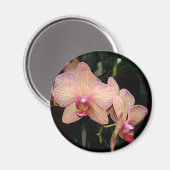 Orchid Magnet Magneet (Voorkant / Achterkant)