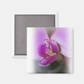 Orchid Magnet Magneet (Voorkant / Achterkant)