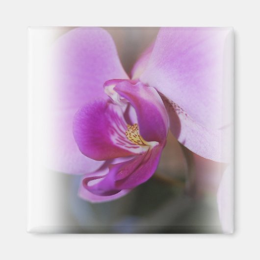 Orchid Magnet Magneet (Voorkant)