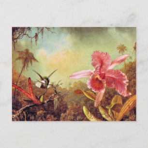 Orchid met twee Hummingbird's, mooi kunstschilderi Briefkaart
