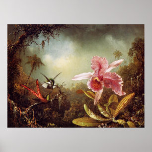 Orchid met twee Posters van Hummingvogels