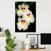 Orchid - Miltoniopsis - de drie amigos Poster (Thuiskantoor)
