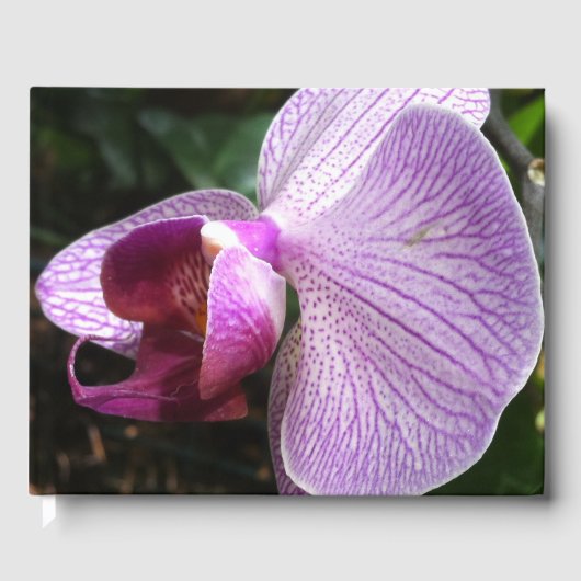 Orchid: Mind Edition Gastenboek (Voorkant)