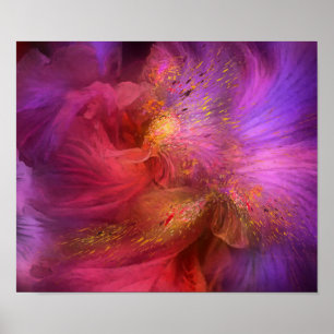 Orchid Moods Fine Art Poster/Afdruk Poster