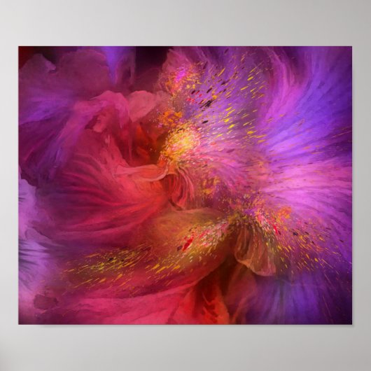 Orchid Moods Fine Art Poster/Afdruk Poster (Voorkant)