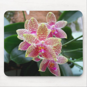 Orchid Mousepad Muismat