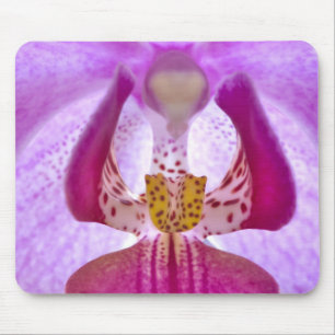 Orchid Muismat