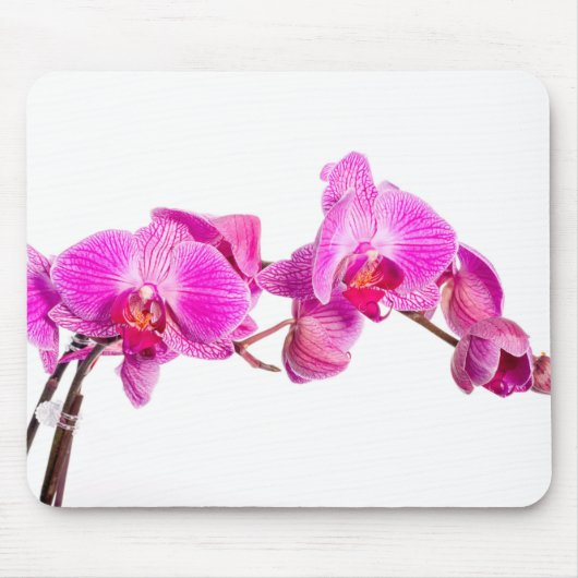 Orchid Muismat (Voorkant)