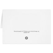 Orchid N'importe quelle carte de jour (Dos Horizontal)