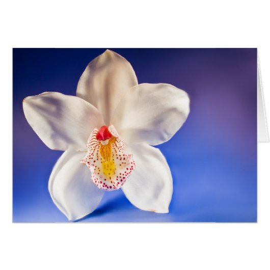 Orchid N'importe quelle carte de jour (Devant horizontal)