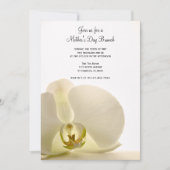 Orchid on White Moederdag Brunch Invitation Kaart (Voorkant)