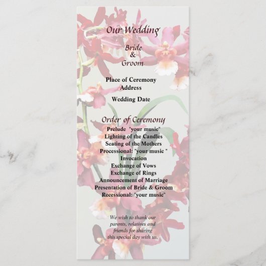 Orchid Oncostele Hilo Firecracker Nieuwjaarsprogra Programma (Voorkant)
