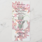 Orchid Oncostele Hilo Firecracker Programme du Nou (Dos)