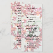 Orchid Oncostele Hilo Firecracker Programme du Nou (Devant / Derrière)