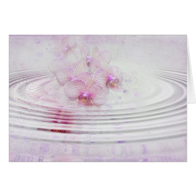 Orchid Pink (Voorkant Horizontaal)