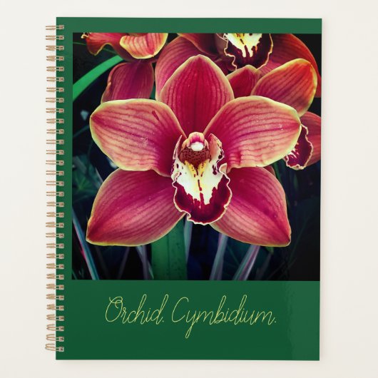 Orchid. Planner (Voorkant)