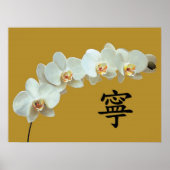 orchid poster (Voorkant)