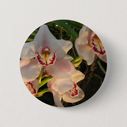Orchid Ronde Button 5,7 Cm (Voorkant)
