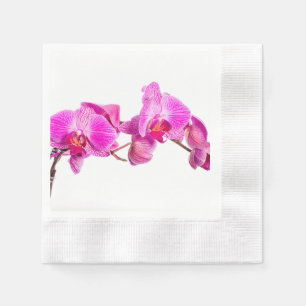 Orchid Servet