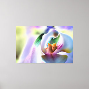 Orchid Stretched Canvas Afdrukken
