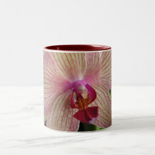Orchid Tweekleurige Koffiemok