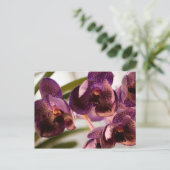 Orchid Vanda Pure's Wax Flower Group Briefkaart (Staand voorkant)