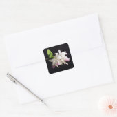 Orchid Vierkante Sticker (Envelop)