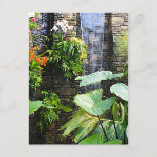 Orchid Wall Briefkaart
