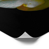 Orchid was haar hart poster (Hoek)