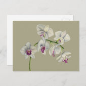 Orchid Waterverf schilderen Briefkaart (Voorkant / Achterkant)