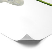 Orchid Waterverf schilderen Poster (Hoek)