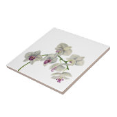 Orchid Waterverf schilderen Tegeltje (Zijkant)