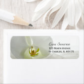 Orchid White en Bridal Veil Wedding Address Etiket (Insitu)