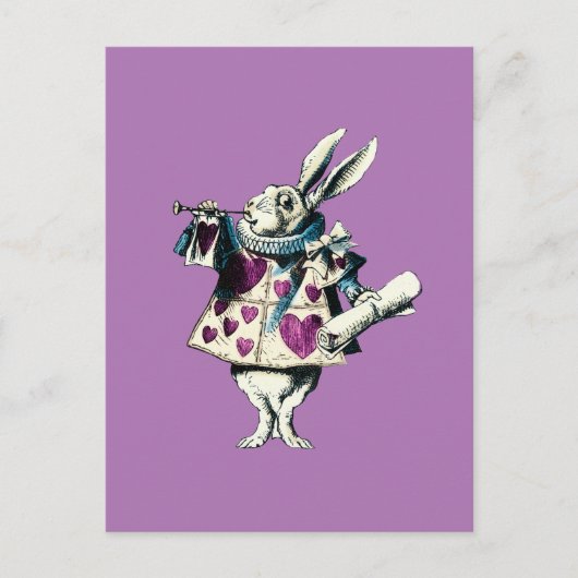 Orchid White Rabbit Decreet Briefkaart (Voorkant)