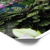 Orchide Pauw Perfect Poster (Hoek)