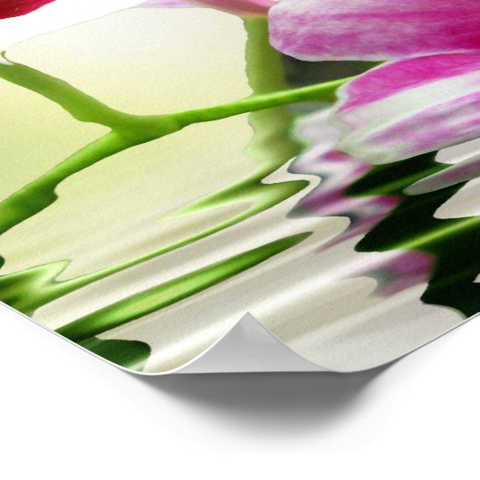 Orchide rimpel poster (Hoek)