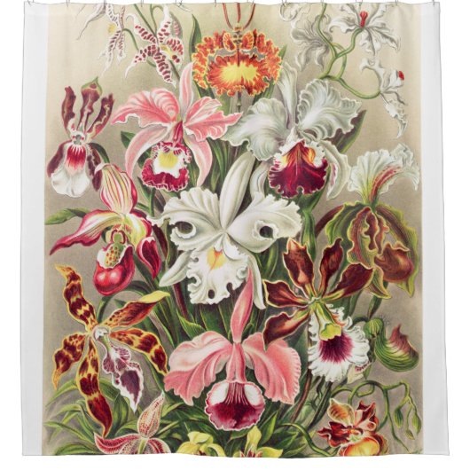 Orchideae Denusblumen A Giltsch door Ernst Haeckel Douchegordijn (Voorkant)