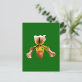 Orchidebloem Briefkaart (Staand voorkant)