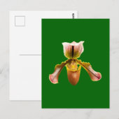 Orchidebloem Briefkaart (Voorkant / Achterkant)