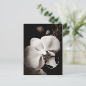 Orchidebloem Briefkaart (Staand voorkant)