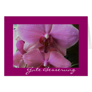 Orchidée