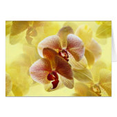 Orchidée (Devant horizontal)